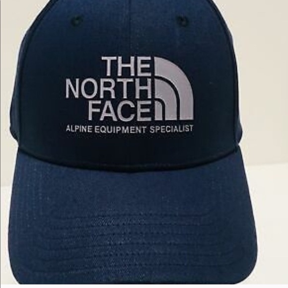 The North Face Other - ❤️❤️gorgeous NWT adjustable cap The North Face❤️❤️